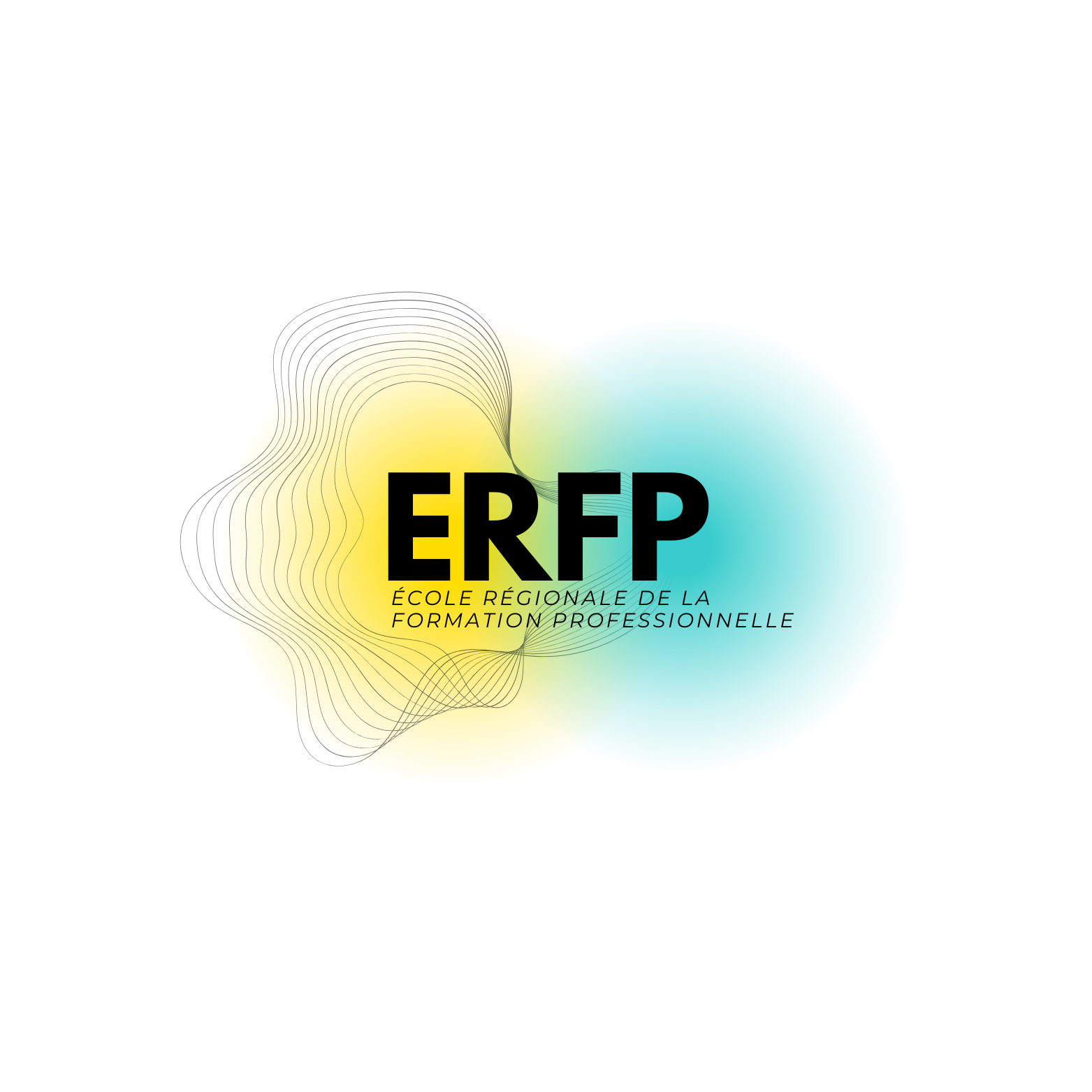 CFA ERFP